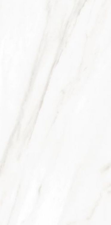 EC Calacatta Gold Matte 12 x 24